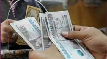 صرف معاش تكافل وكرامة لشهر نوفمبر 2025 يبدأ يوم 15 نوفمبر وفق خطة وزارة التضامن